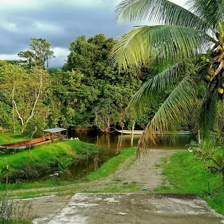 Mulu Diana Homestay Exterior photo